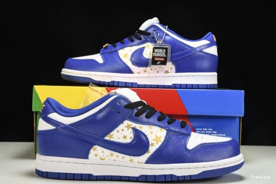 SB DH3228-100 Royal Low Hyper Nike Dunk Supreme Stars  0806